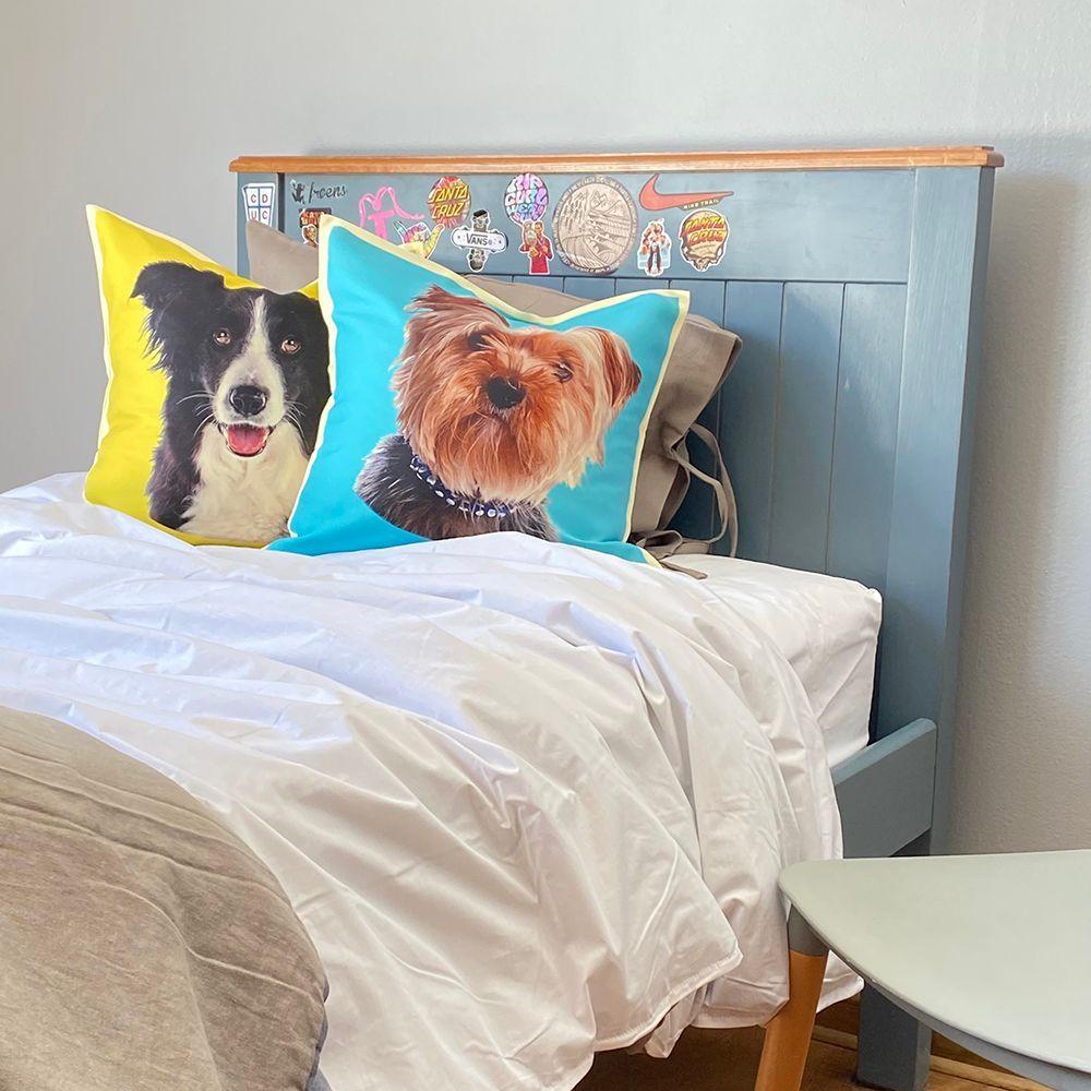 Cojín Color Border Collie, 45x45-2