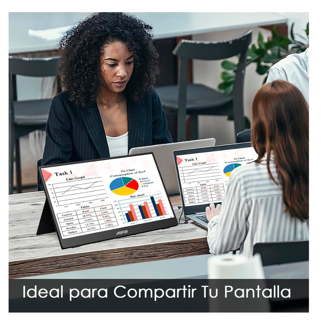 Monitor Portatil 18.5 120hz Full Hd Con Parlante Y Case-5