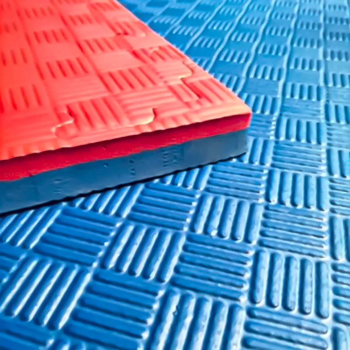 Alfombra Mat Multiuso 100x100x2.5cm-3