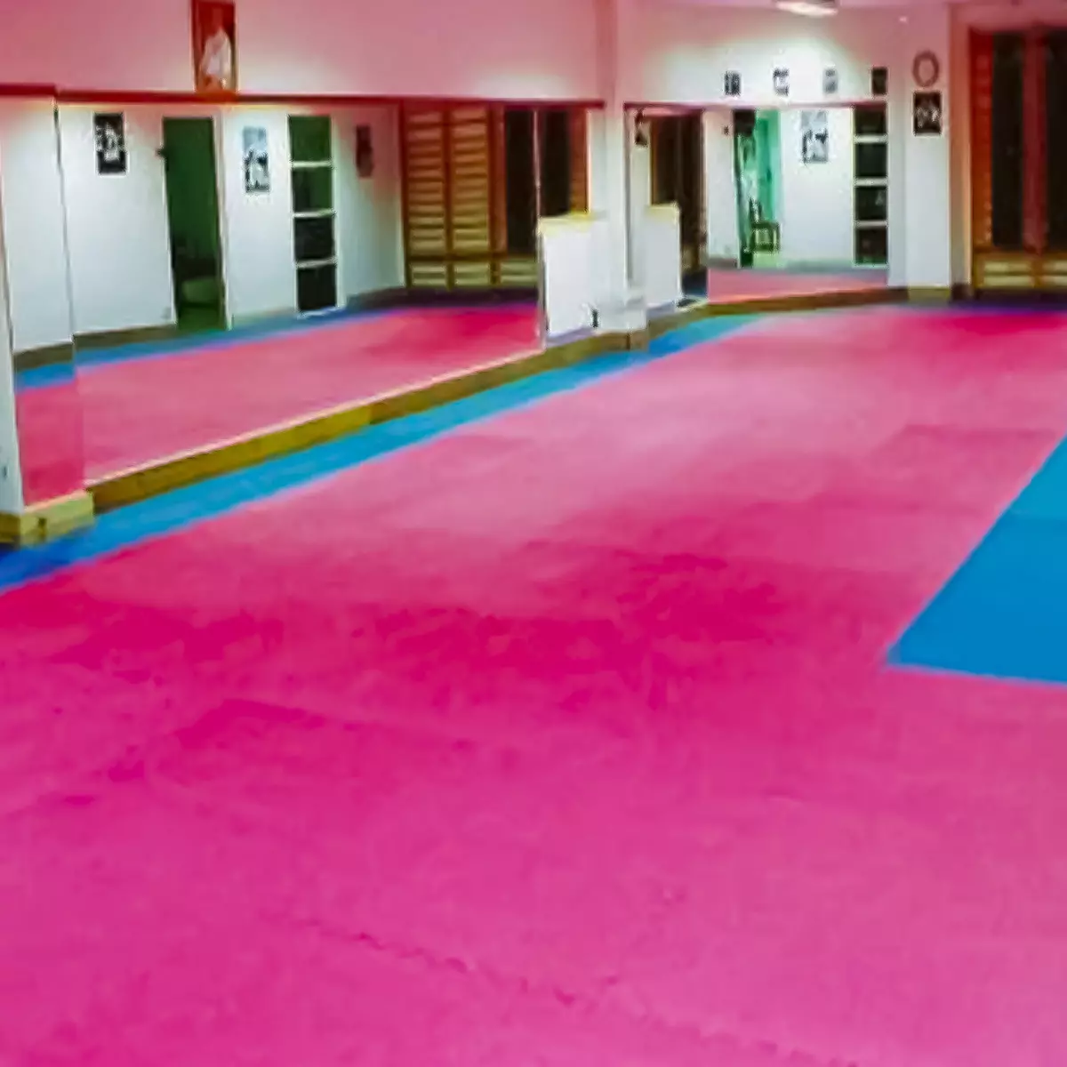 Alfombra Mat Multiuso 100x100x2.5cm-4