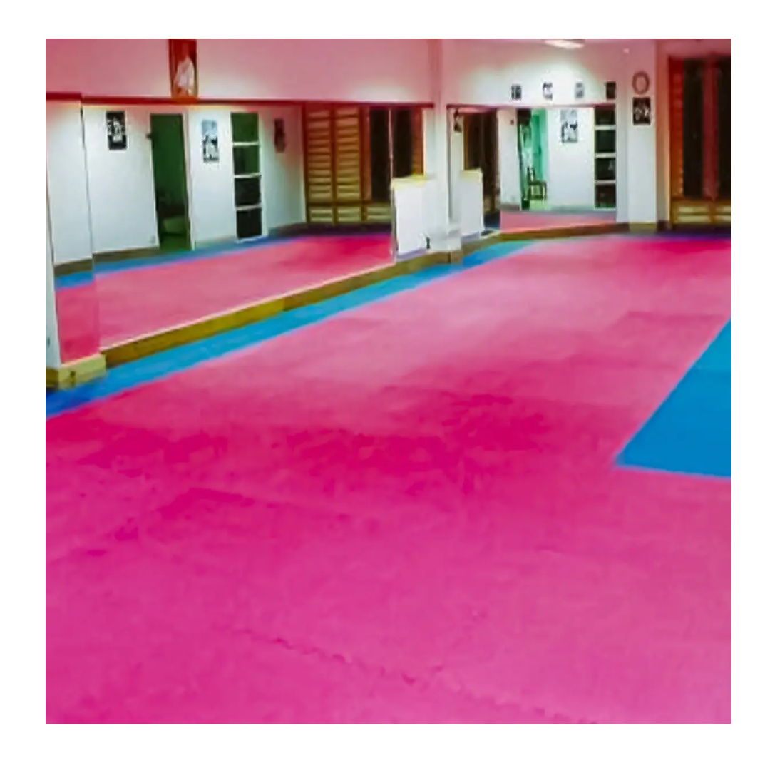 Pack 10 Plancha Tatami 100cm X 100cm X 2.5cm Rojo Y Azul-3