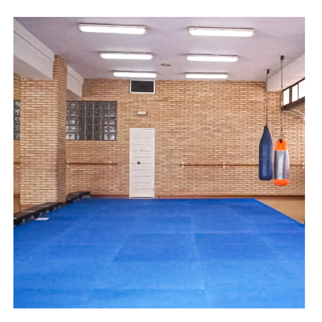 Pack 10 Plancha Tatami 100cm X 100cm X 2.5cm Rojo Y Azul-5