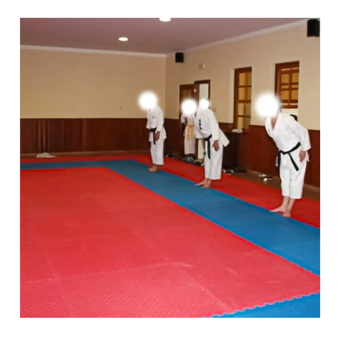 Pack 10 Plancha Tatami 100cm X 100cm X 2.5cm Rojo Y Azul-6