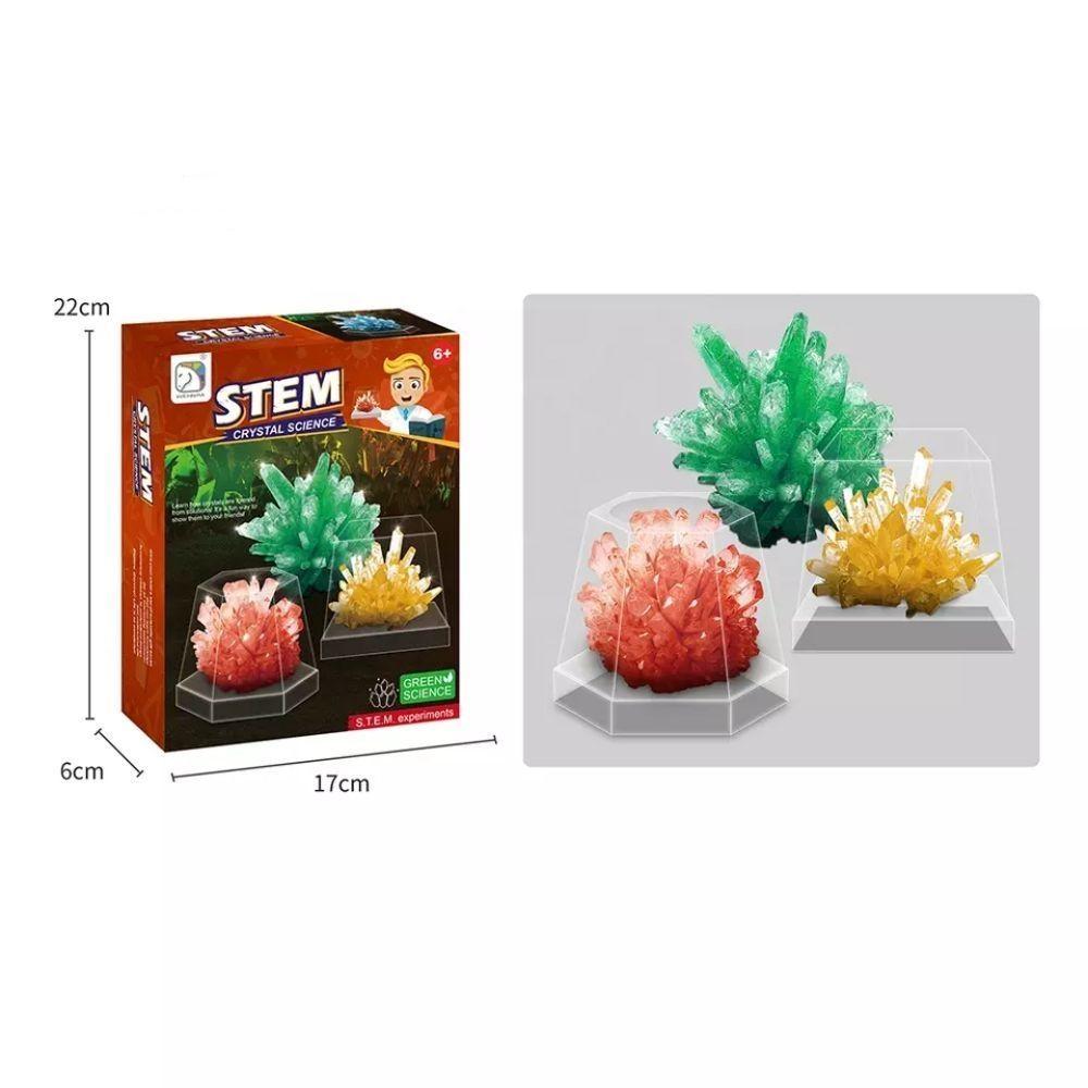 Kit de Ciencias Cultivo Cristales Juguete Educativo-4