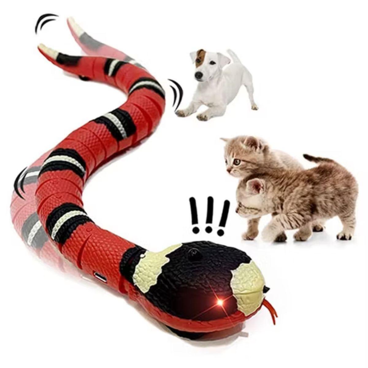 Serpiente de Juguete Eléctrica con Sensor y Luces Recargable-3