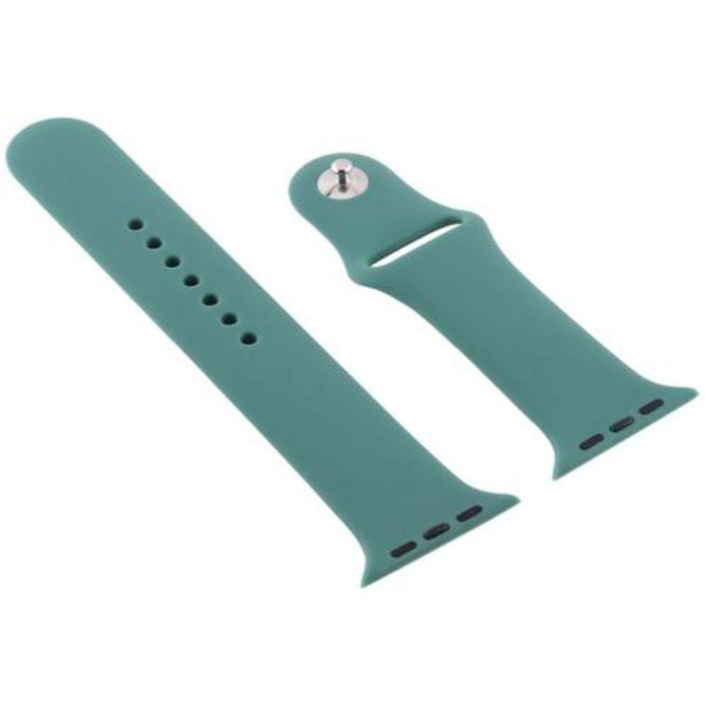 Correa + Carcasa Compatible c/ Apple Watch 38/40mm Turquesa-0