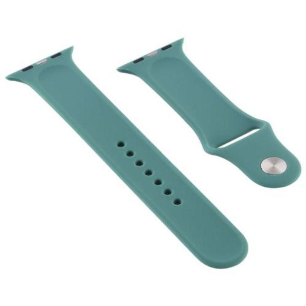 Correa + Carcasa Compatible c/ Apple Watch 38/40mm Turquesa-1