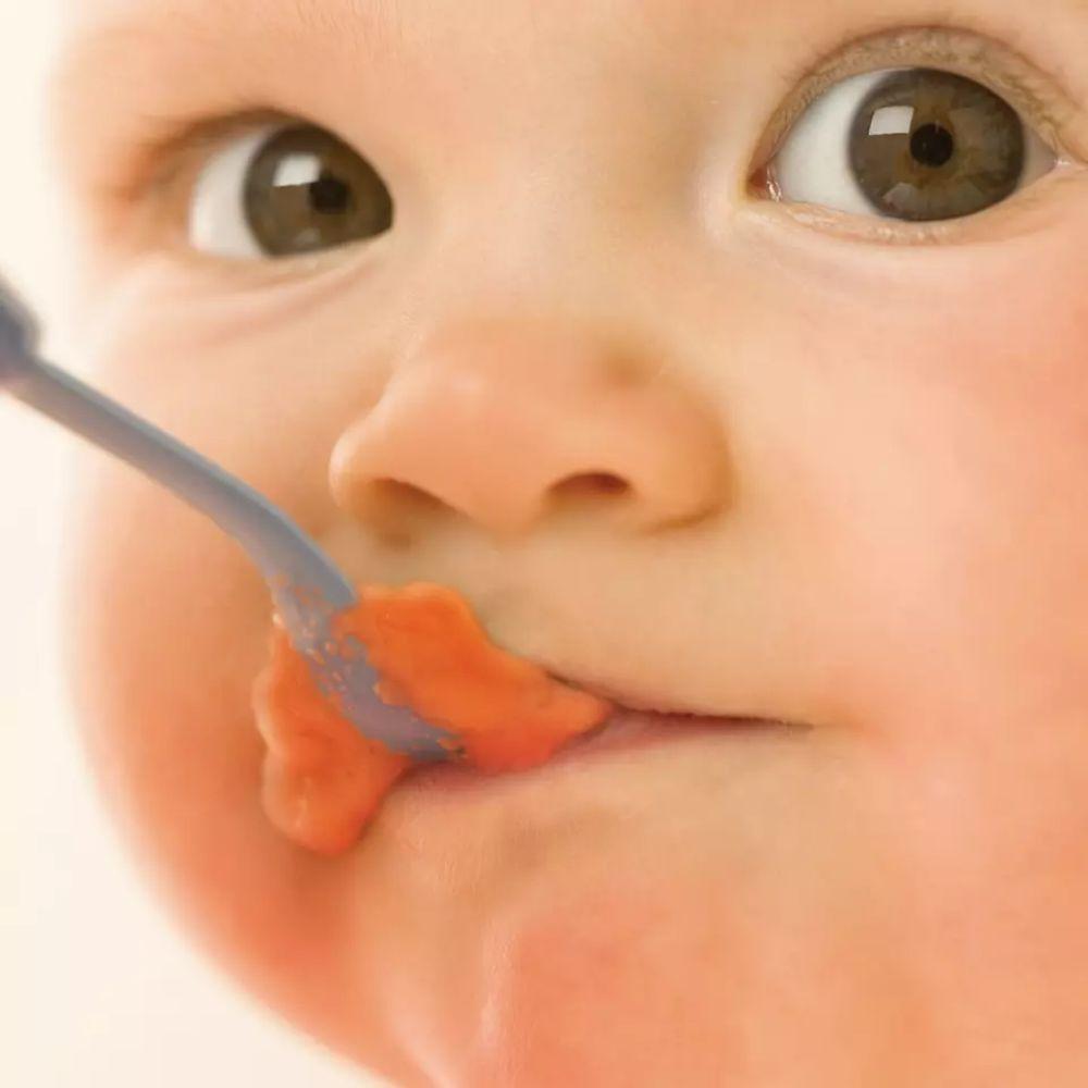 Vaporera y Batidora 2en1 Baby Food Philips Avent SCF870/20-10