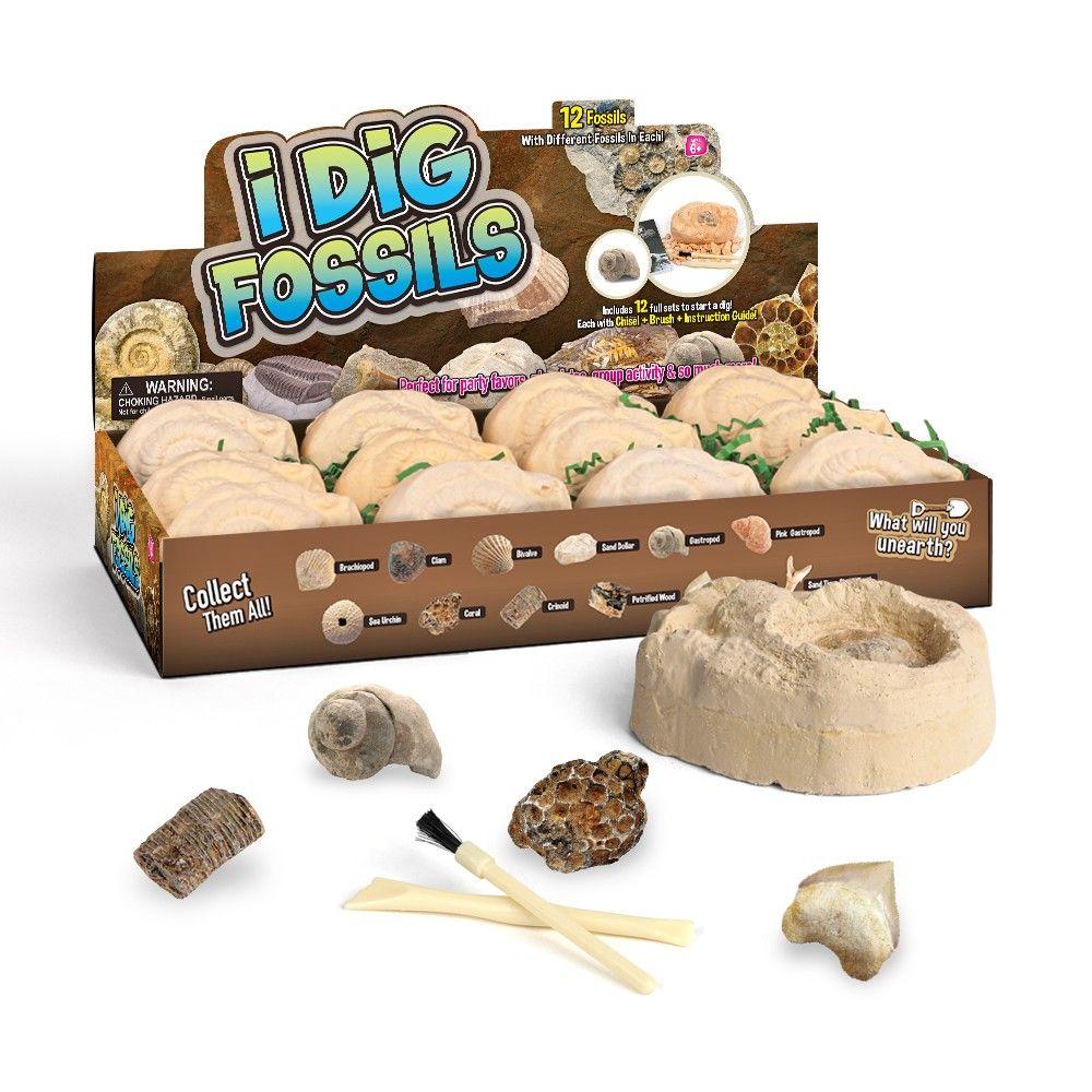 Kit Excavación Descubrimiento Fósiles Para Niños-0