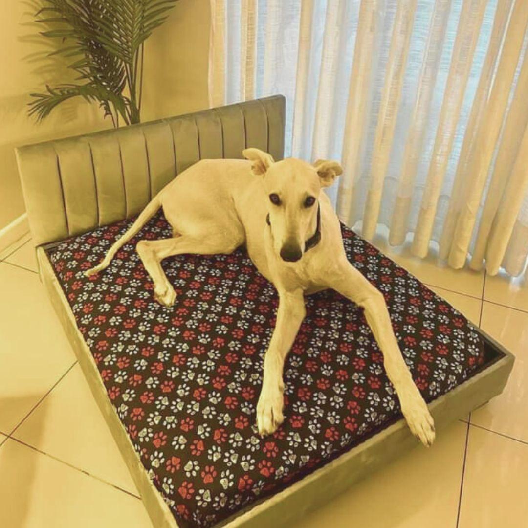 Camita Mascota 100x90-3