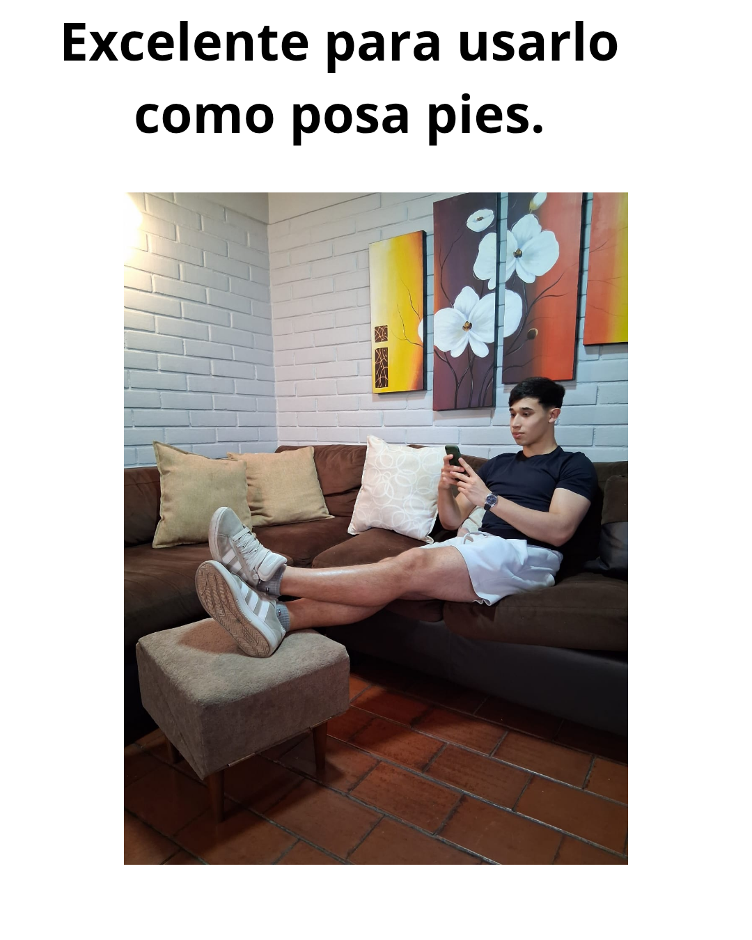 Escala Rampla Mascota 3 en 1-2