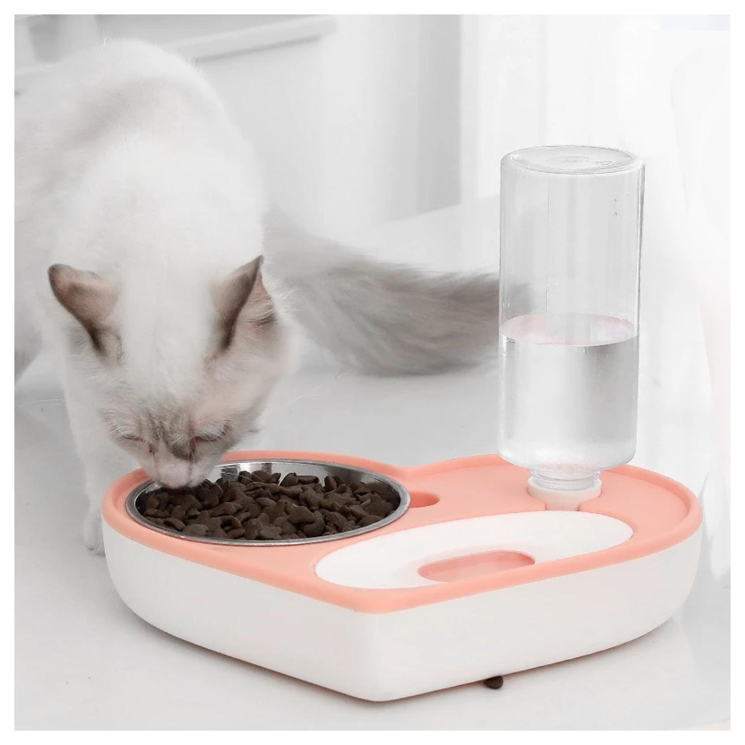Plato Tazon Comida Para Mascotas Dispensador Agua Automatico-3