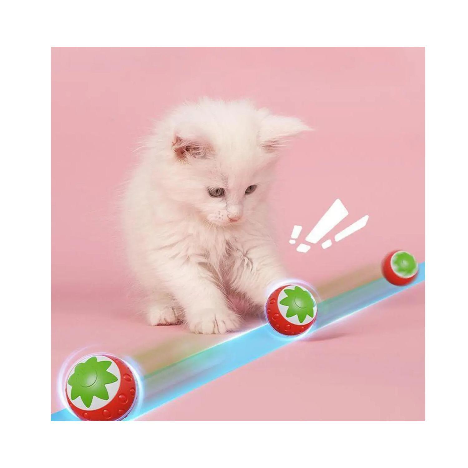 Juguete Pelota Interactiva Hierva Gatera Para Gatos Mascotas-3