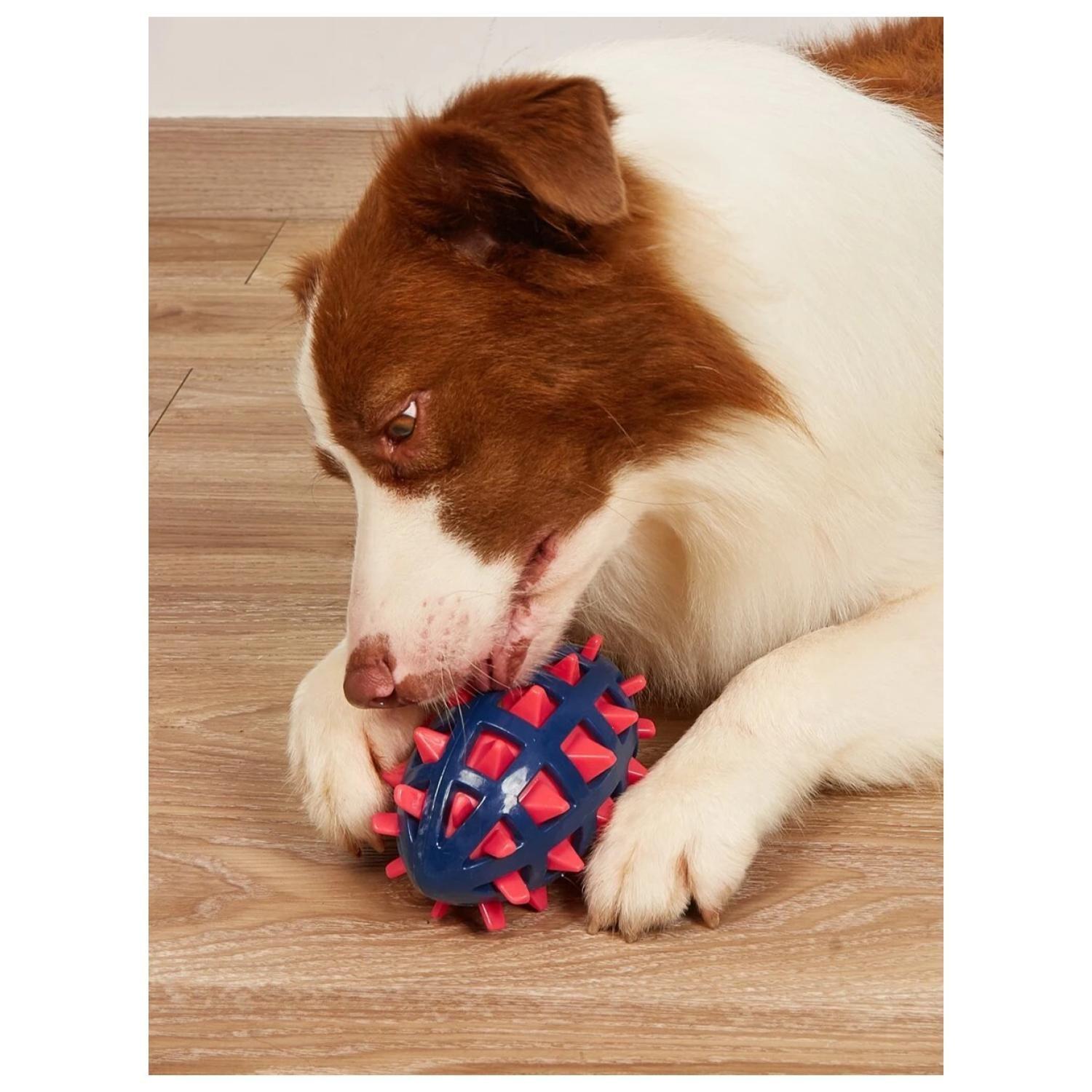 Juguete Para Morder Bola Spiky Con Sonido Para Mascotas-3