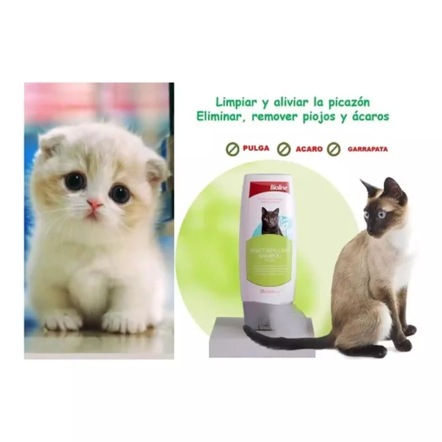 Shampoo Repelente De Insectos Para Gatos 200ml Bioline-1
