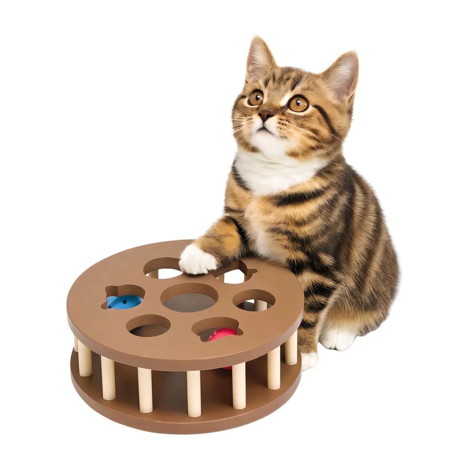 Juguete Interactivo Rueda Con Pelotas Para Gatos Mascotas-2