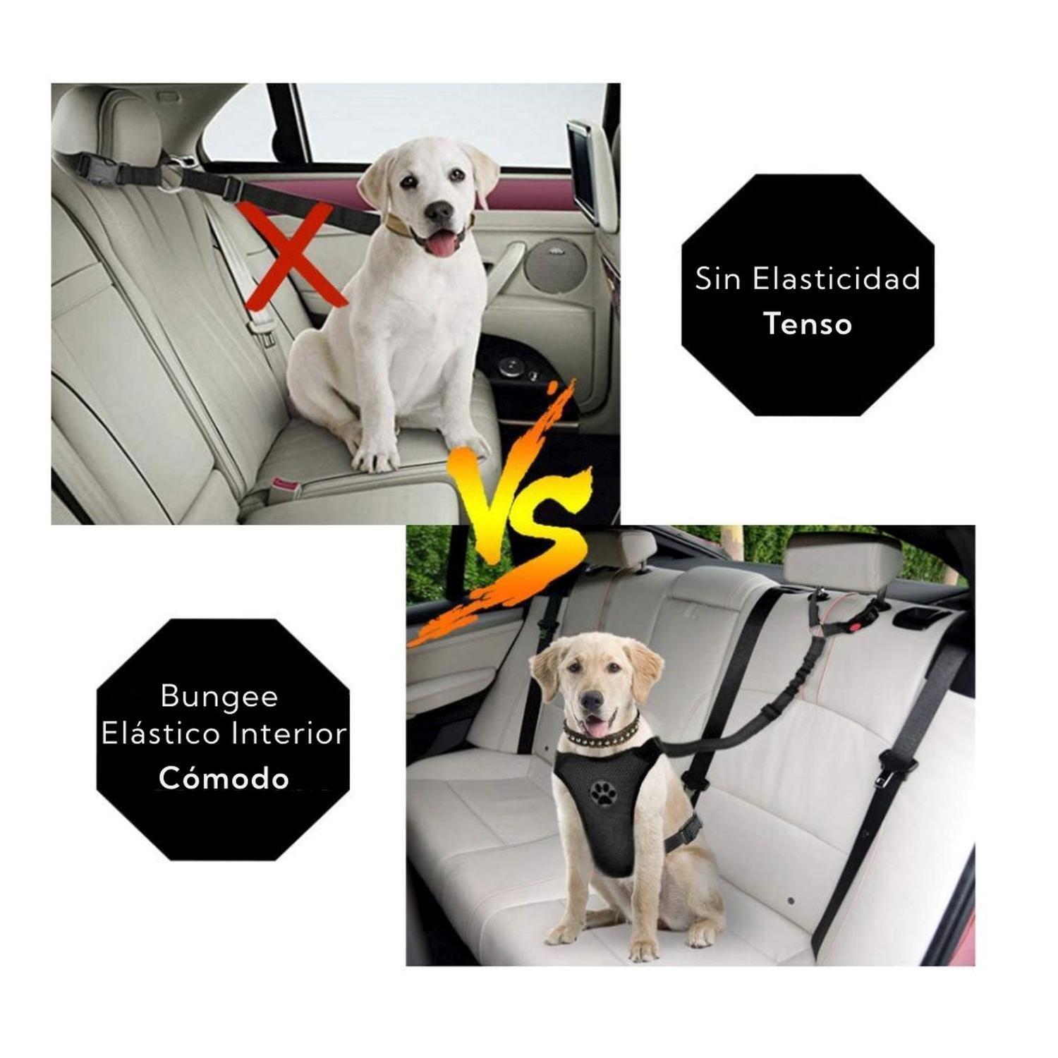 Correa Leash Para Mascotas Pro Outdoor 180 Unidades-4