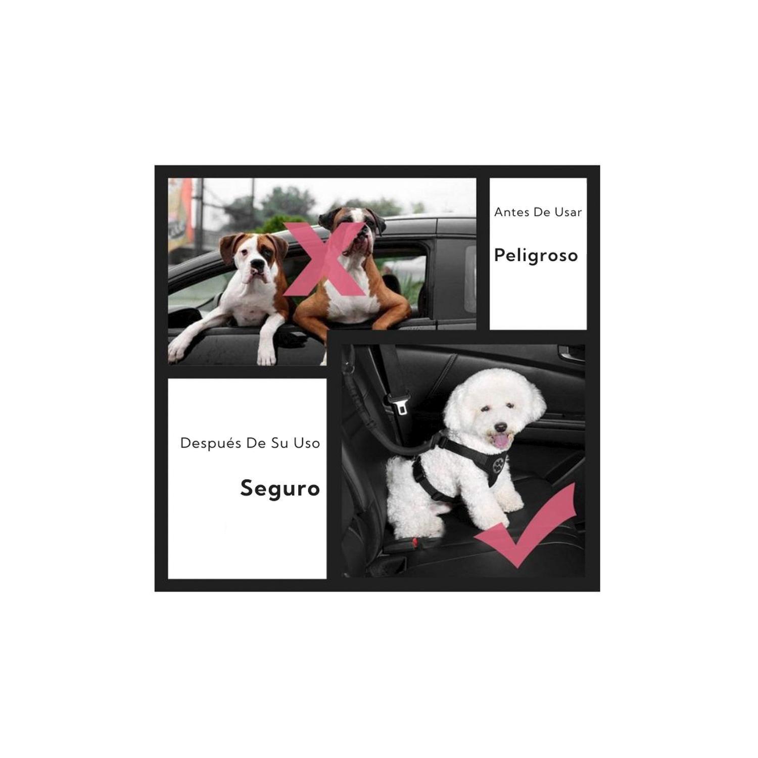 Correa Leash Para Mascotas Pro Outdoor 180 Unidades-5