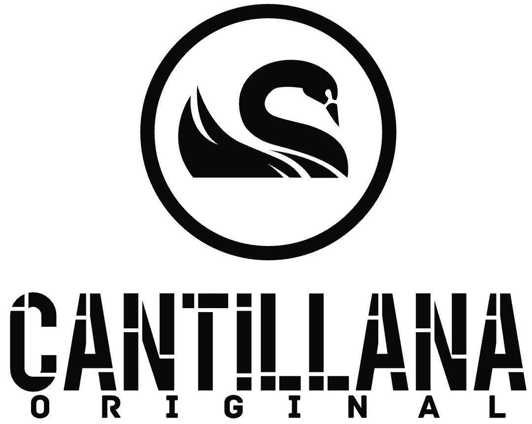 Polera Hombre Manga Larga Cantillana Original-4
