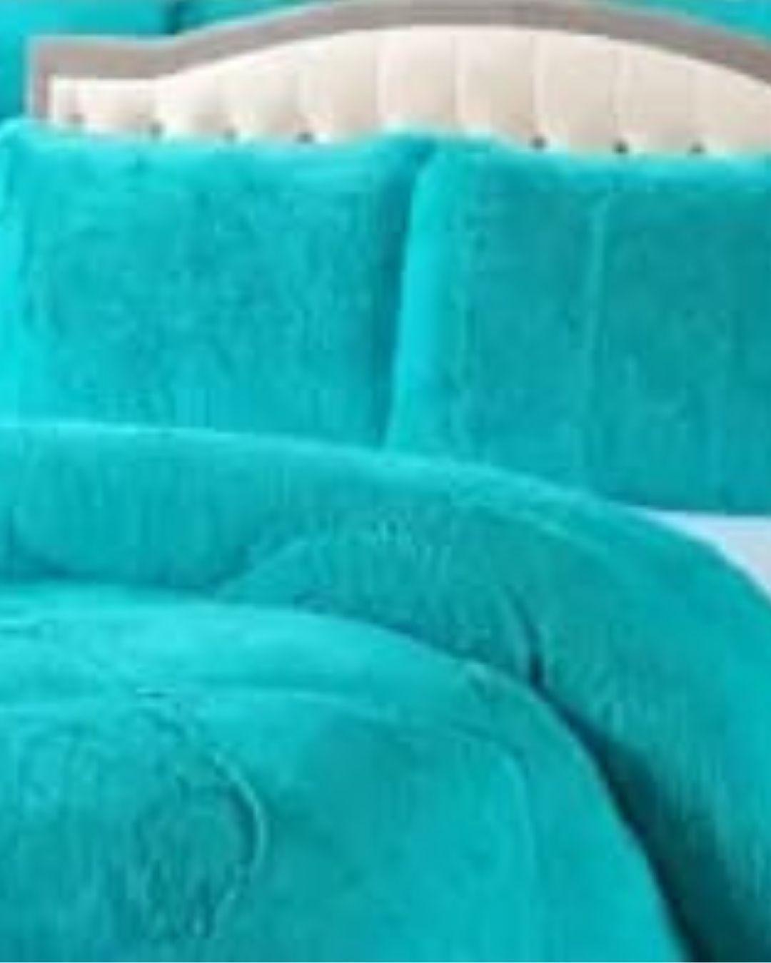 Cobertor de Invierno ultra solf peludo con Chiporro - 2 Plazas TF.-1