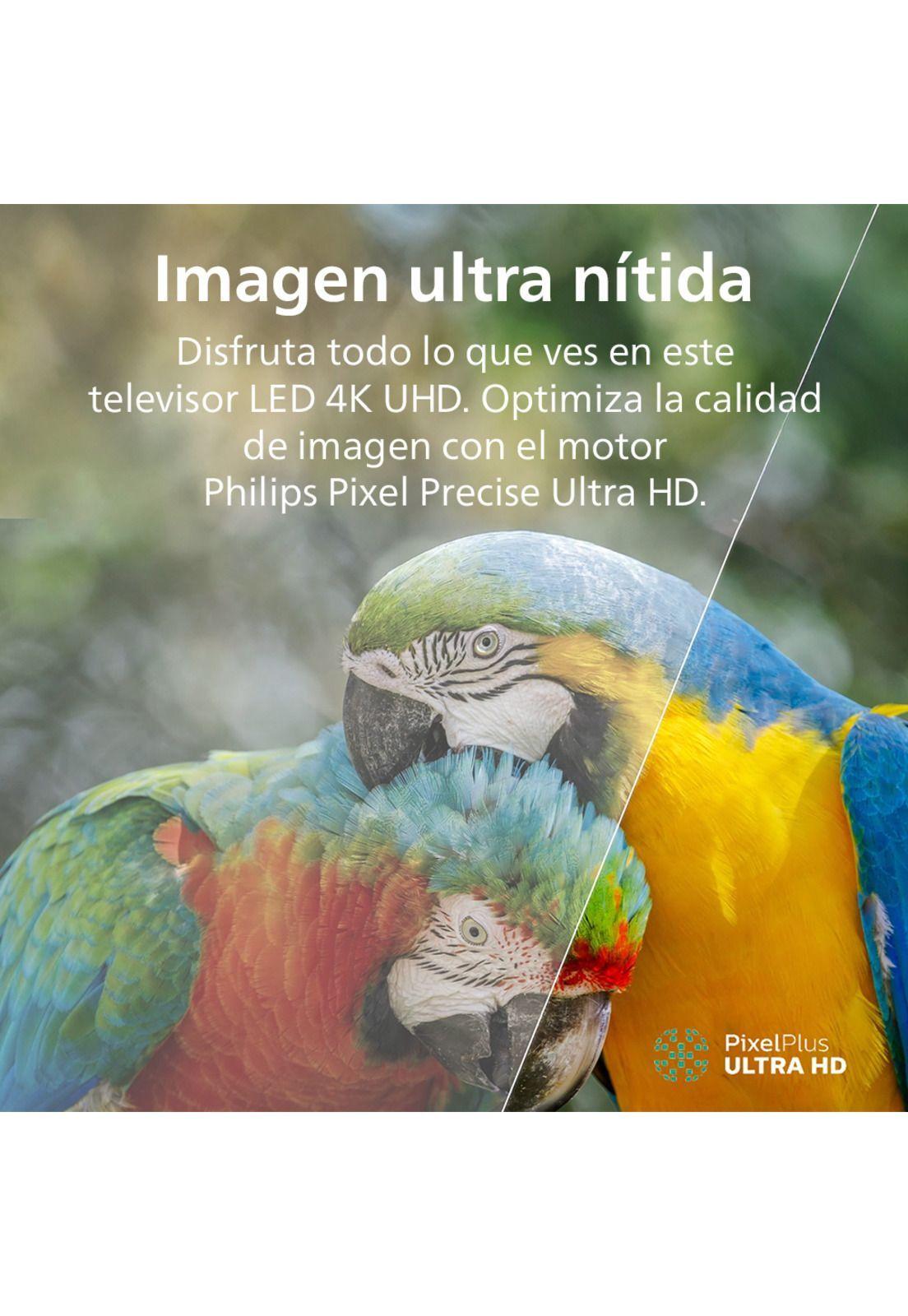 Smart TV 50" Philips Led 4K UHD 50PUD7019-3