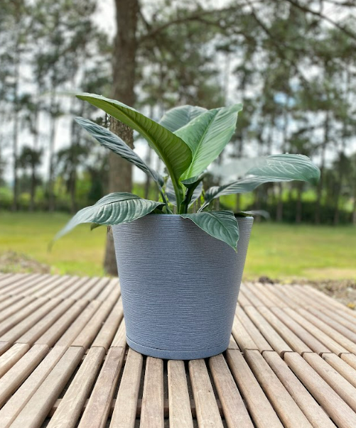 MACETERO FLORIDIS GENEBRA GRAFITO 35CM CON PLATO-2