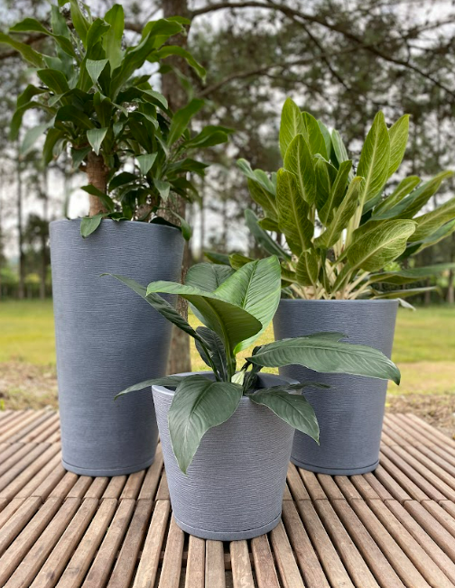 MACETERO FLORIDIS GENEBRA GRAFITO 35CM CON PLATO-3