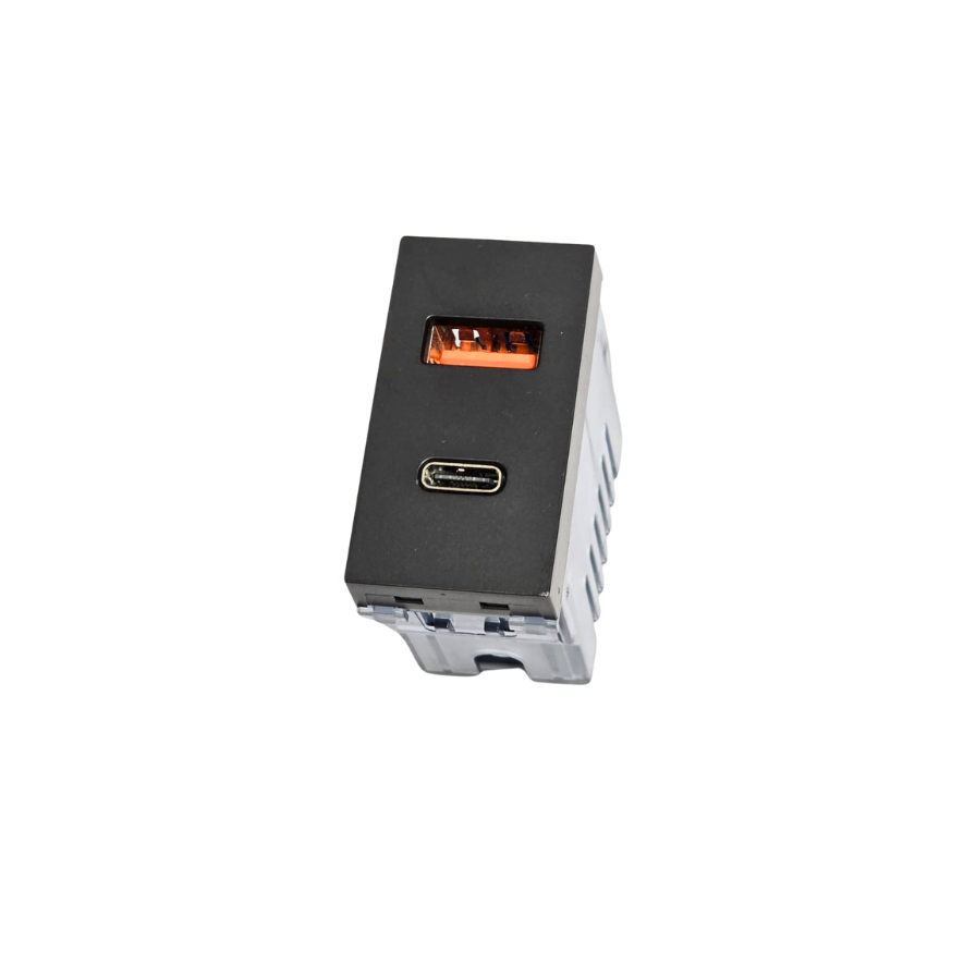 Modulo Toma USB Tipo A + C Stanford Sec Grafito-0