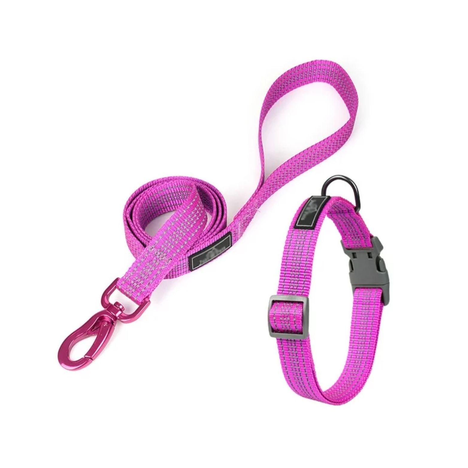 Linda Correa Para Mascotas Con Collar Perros-3