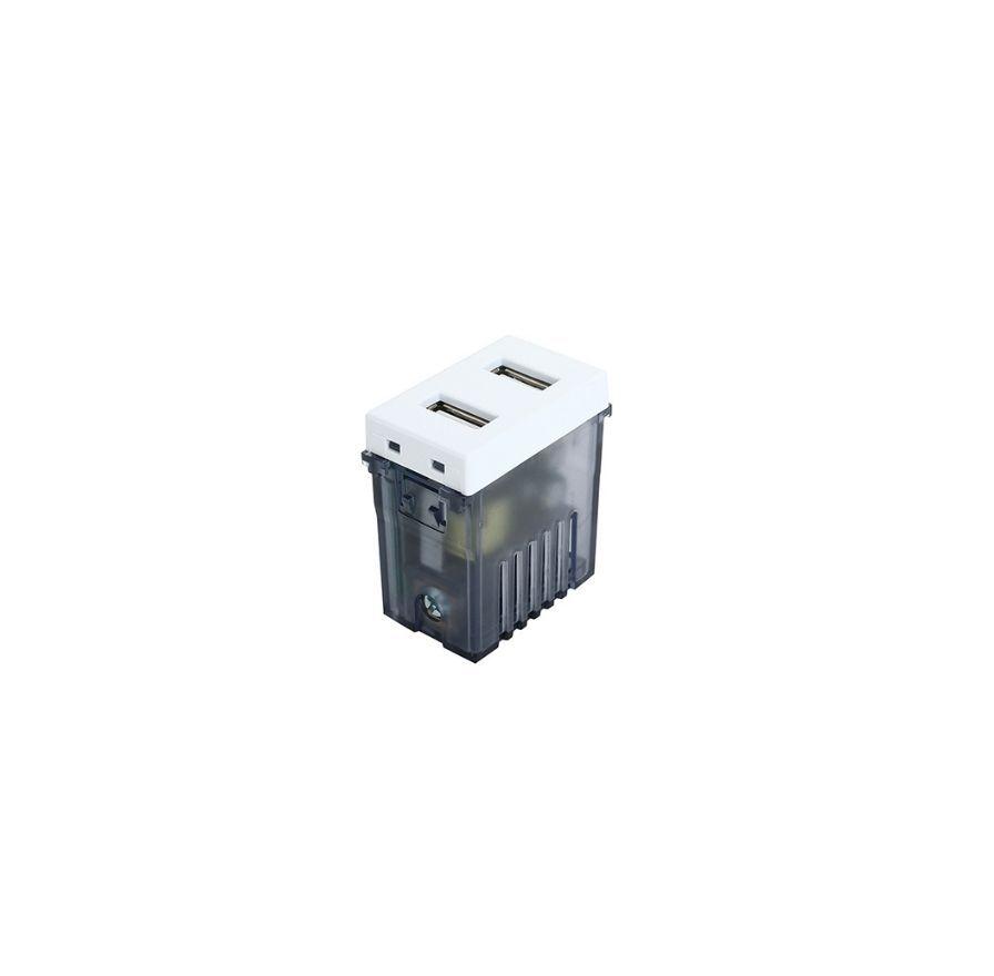 Toma Modulo Doble Usb 100-240v 5v Stanford Blanco-0
