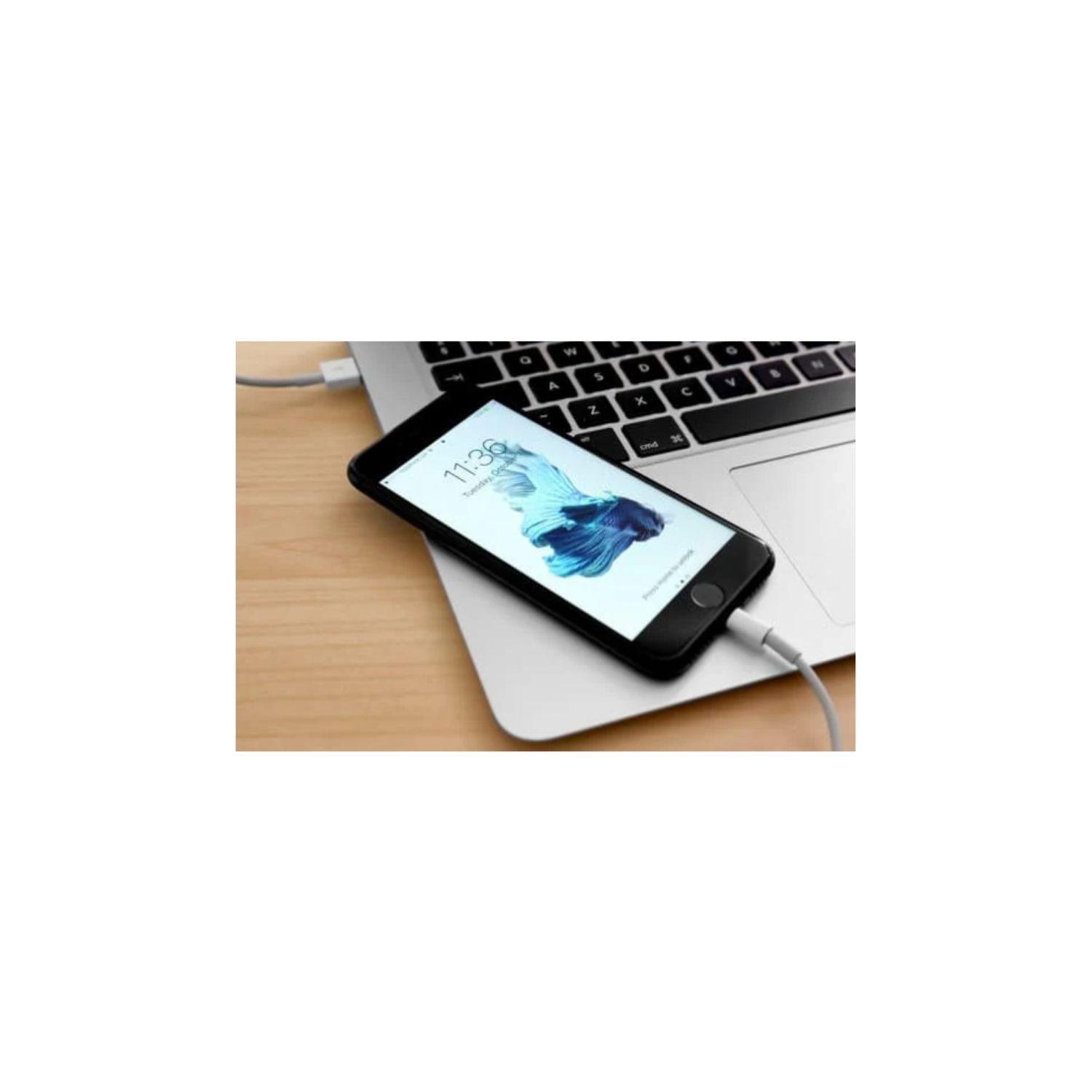 Cable Cargador Lightning 1 Metro Compatible iPhone iPad-1