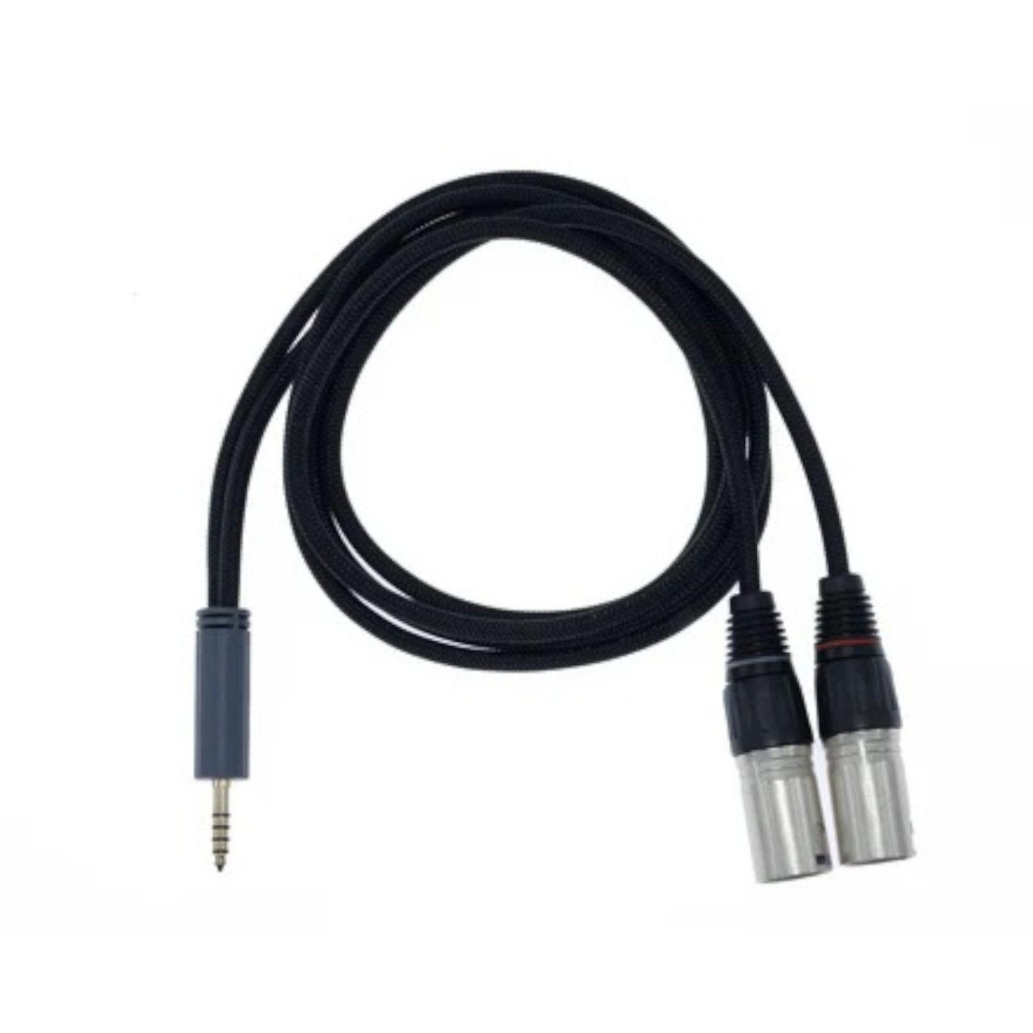 Cable Balanceado de 4,4 mm a XLR  IFI 4.4TOXLRST-2