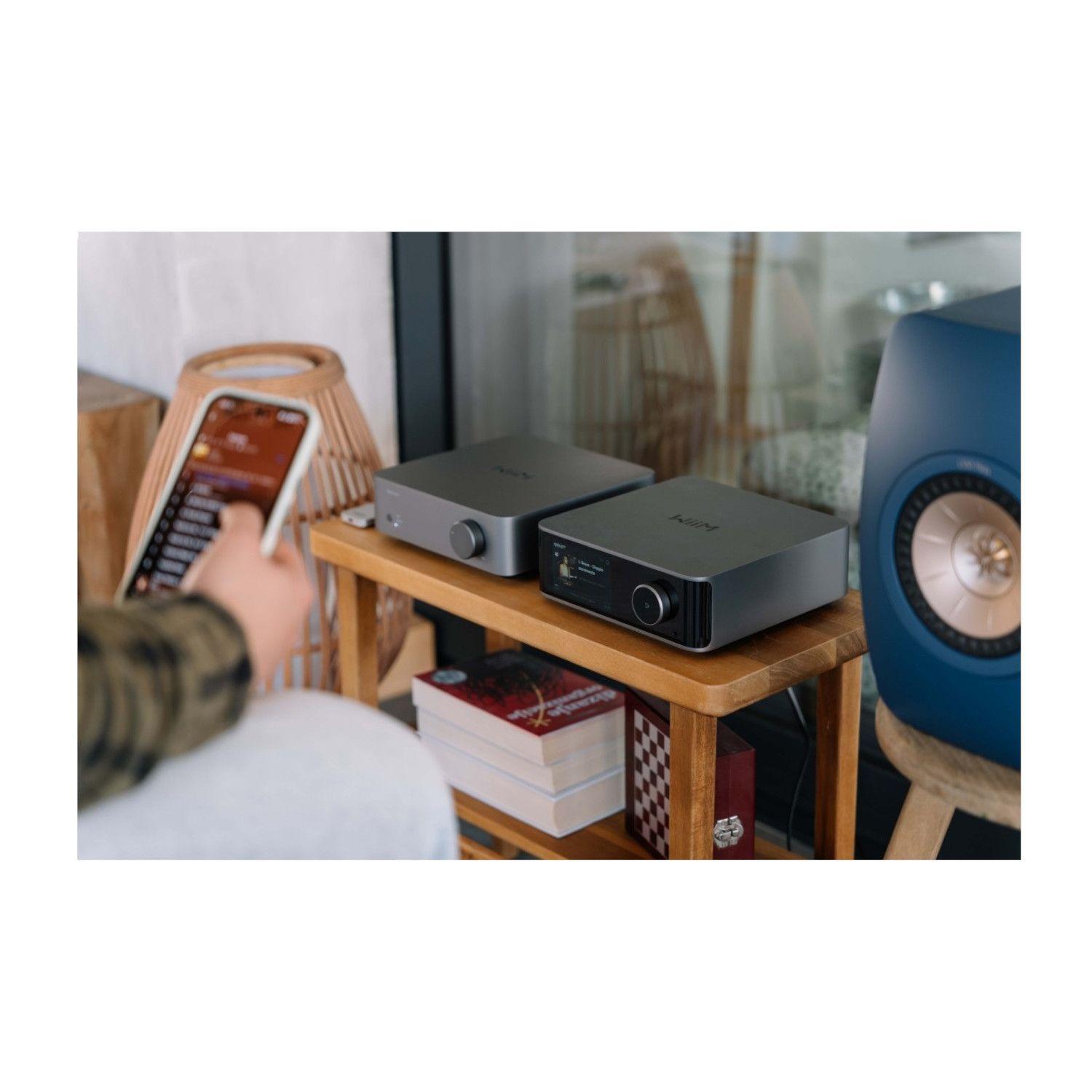 Amplificador WiiM VIBELINKAMP-6