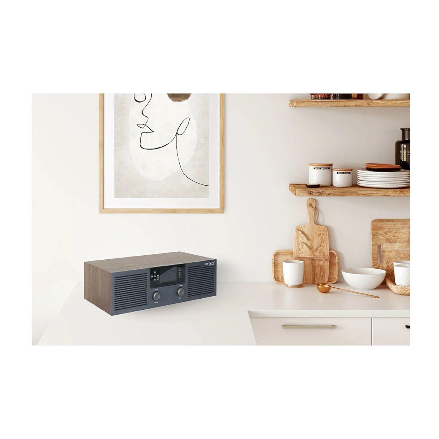 Sistema de Audio TANGENT con CD TAN RADIO FEM-3