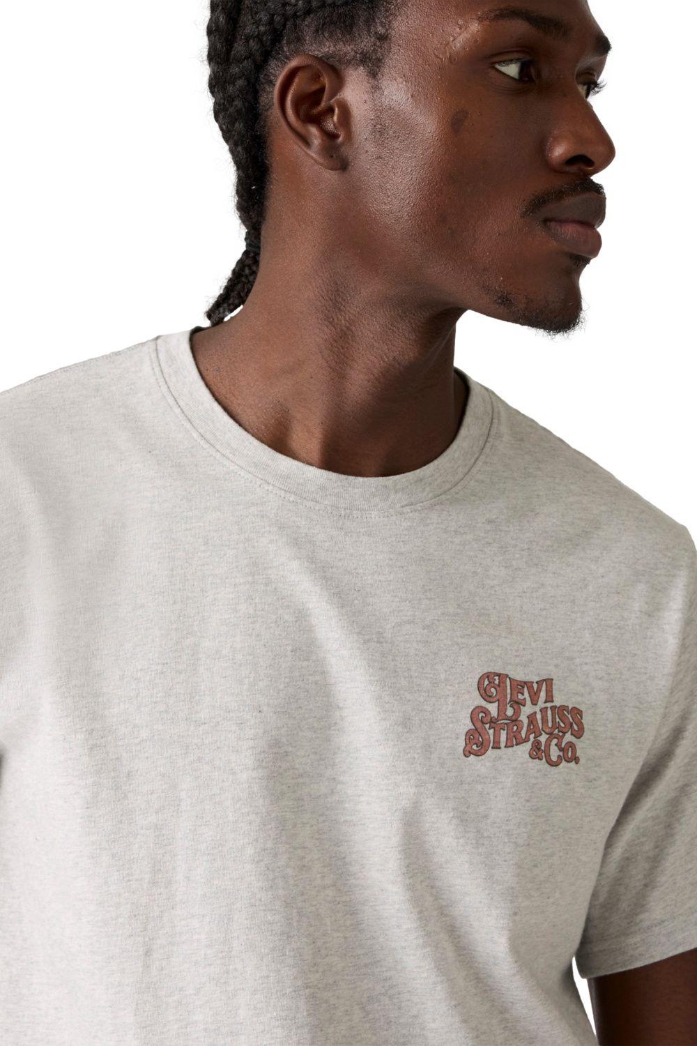Polera Hombre Relaxed Fit Tee Gris Levis 16143-1816-2