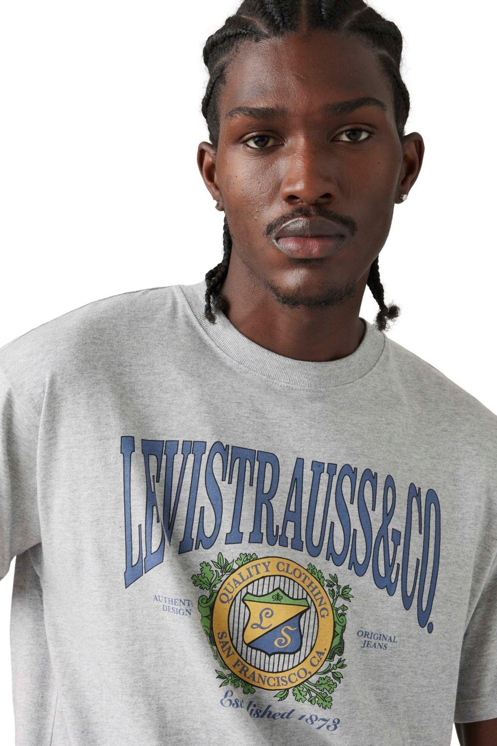 Polera Hombre Vintage Fit Graphic Tee Gris Levis 87373-0216-3