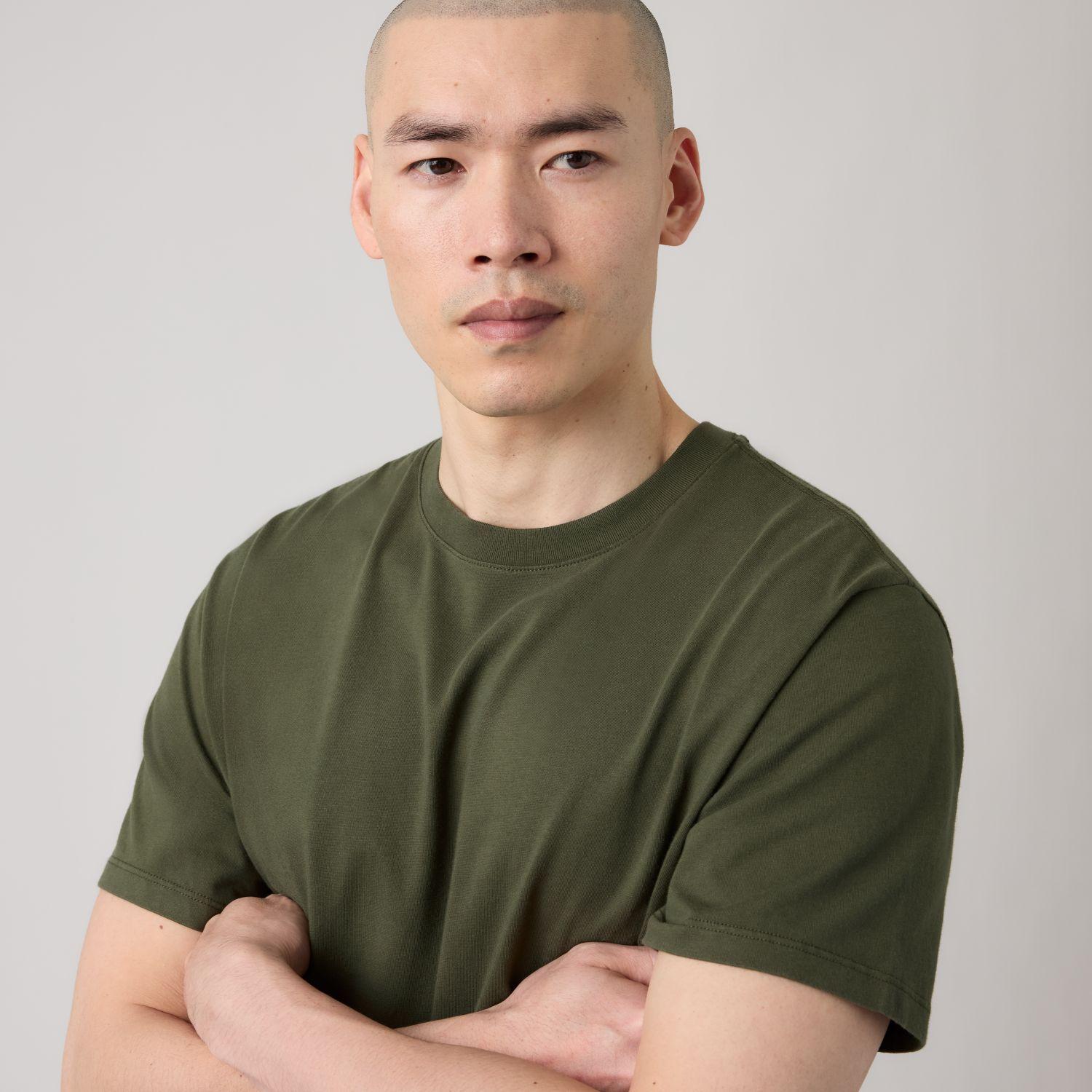 Polera Hombre Ng Essential Tee Verde Levis 005GZ-0028-3