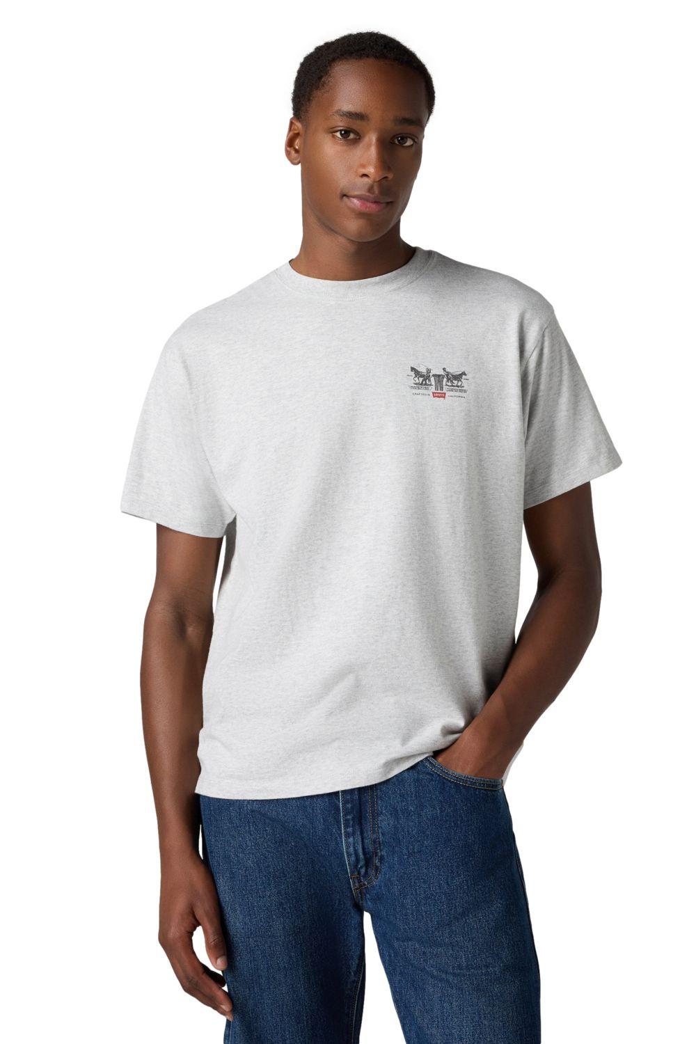 Polera Hombre Vintage Fit Graphic Tee Gris Levis 87373-0256-0