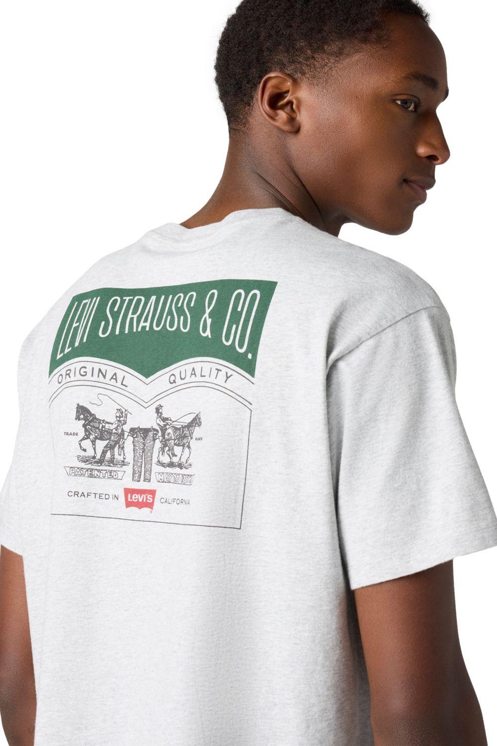 Polera Hombre Vintage Fit Graphic Tee Gris Levis 87373-0256-3