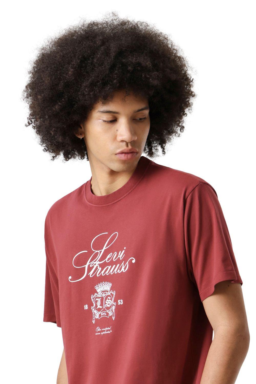 Polera Hombre Vintage Fit Graphic Tee Burdeo Levis 87373-0393-4