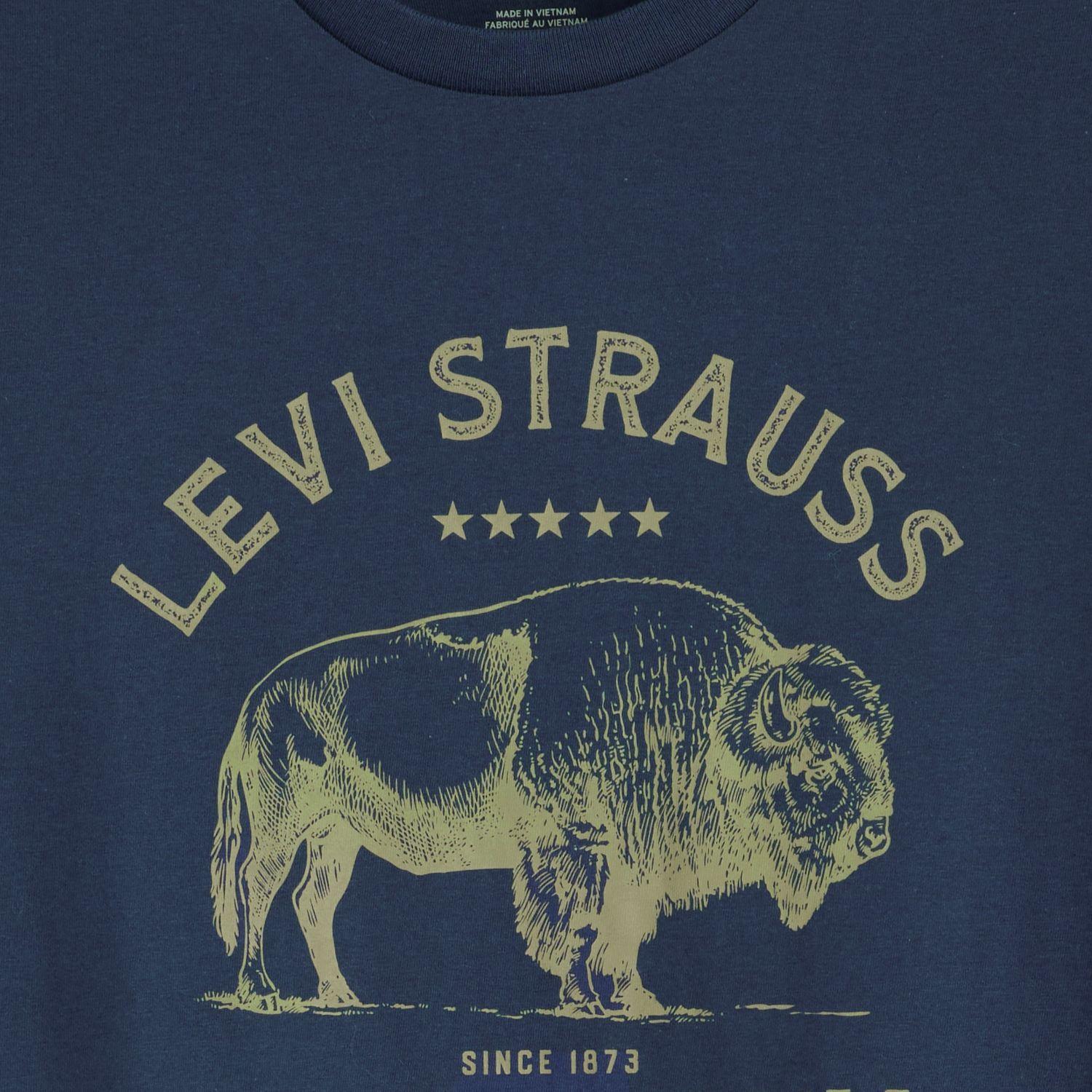 Polera Hombre Graphic Crewneck Tee Azul Levis 22491-1527-4