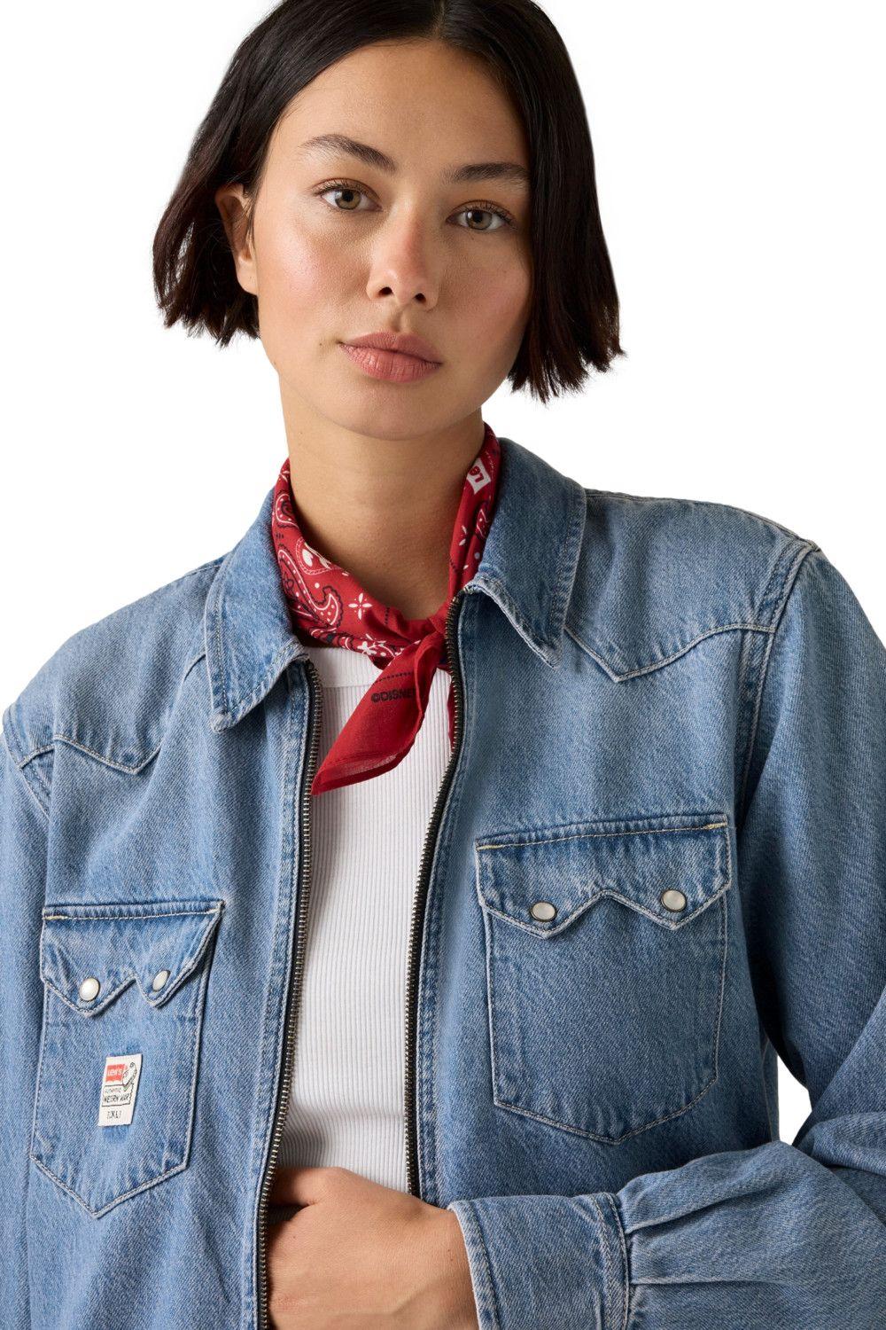 Camisa Hombre Toy Story Azul Levis 0034P-0000-4