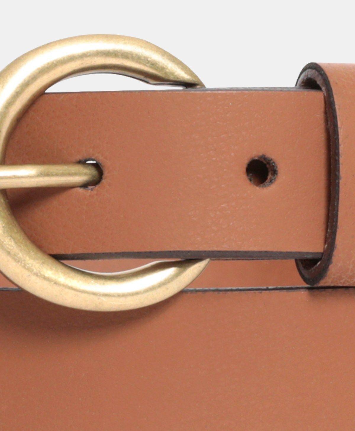 Cinturón Hombre de una cara Café y Dorado Levis LWPBN-W003-1