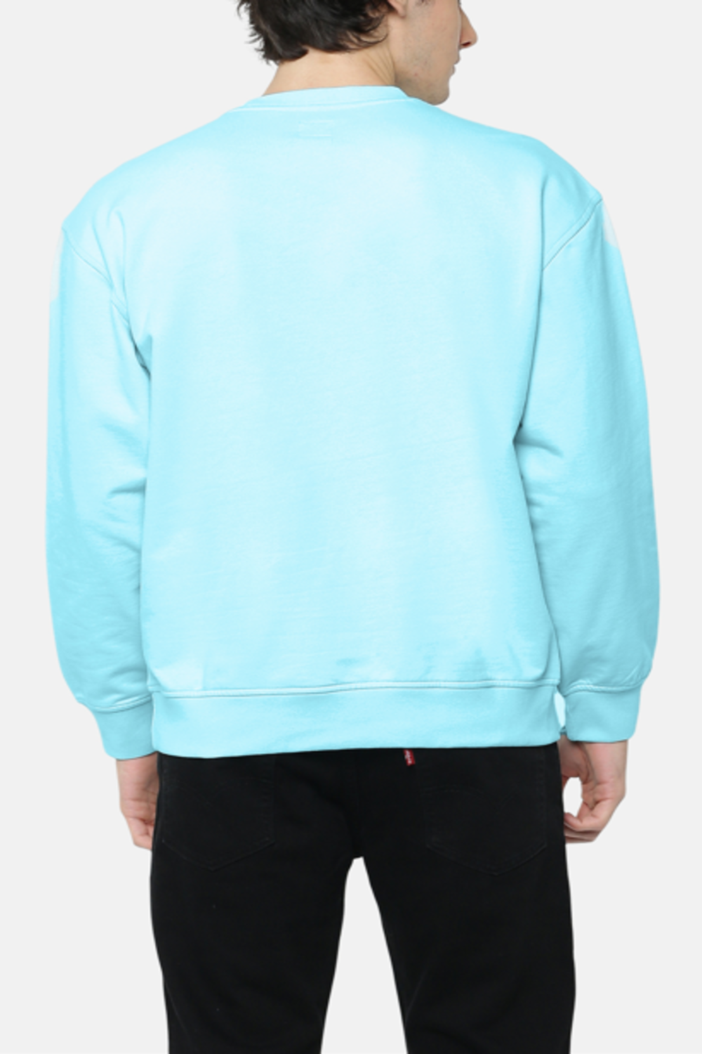 Polerón Hombre Relaxed Fit Turquesa Levis A1572-0097-1