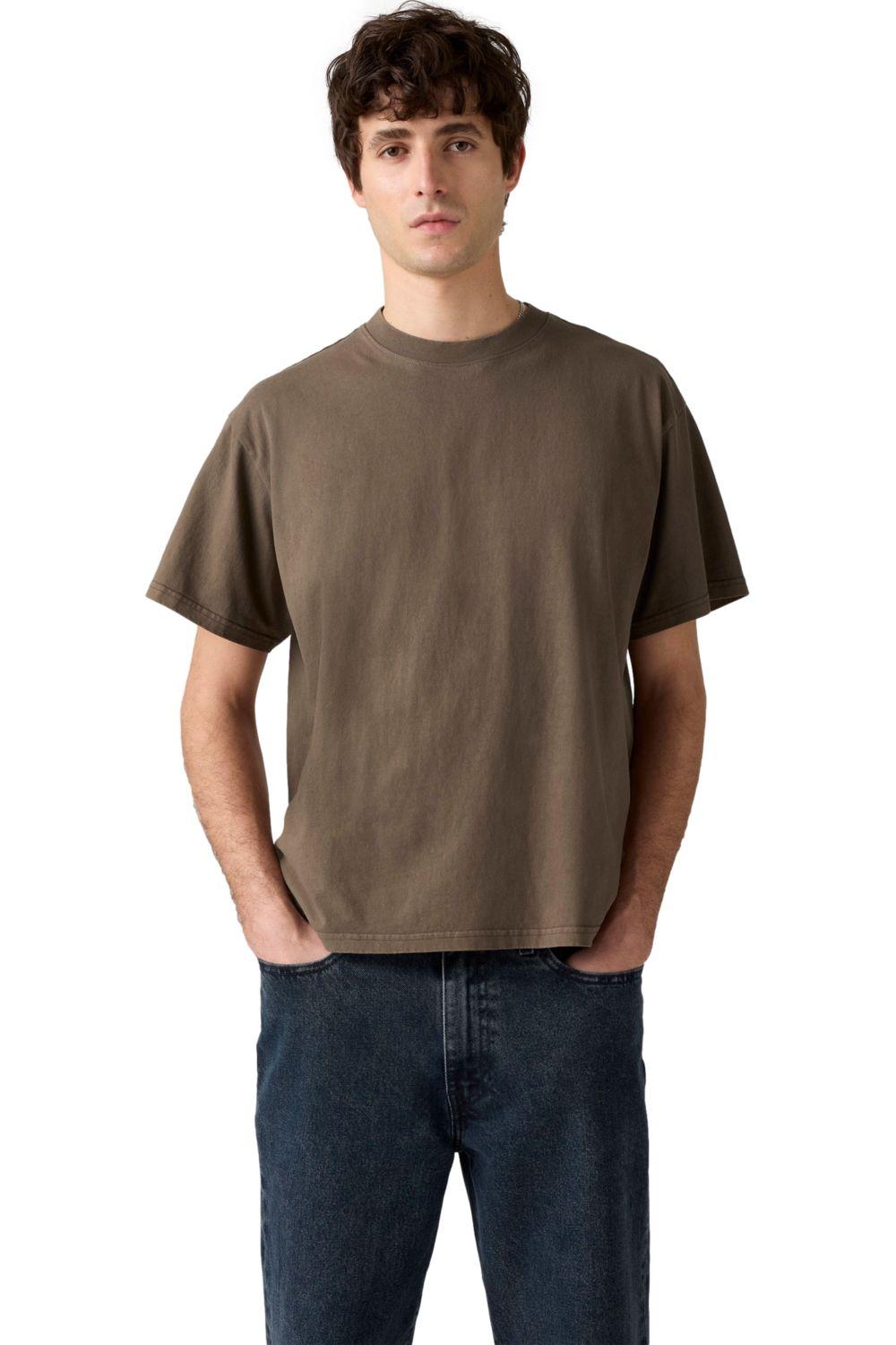 Polera Hombre Boxy Tee Café Levis 0049F-0004-2