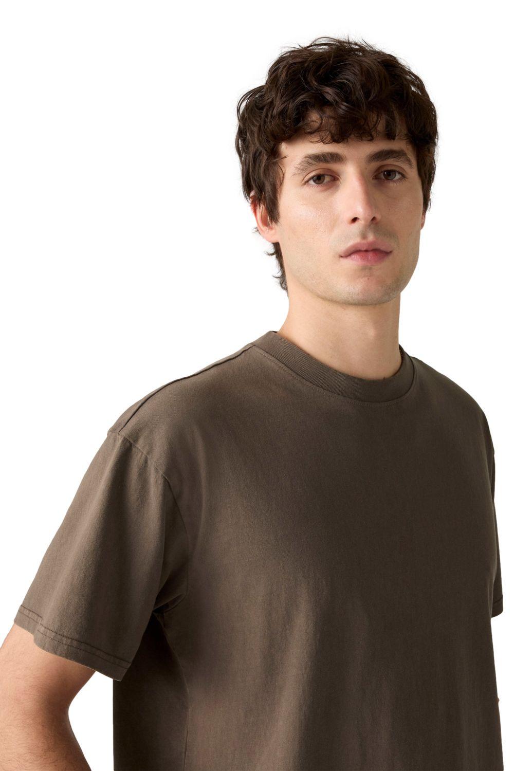 Polera Hombre Boxy Tee Café Levis 0049F-0004-3