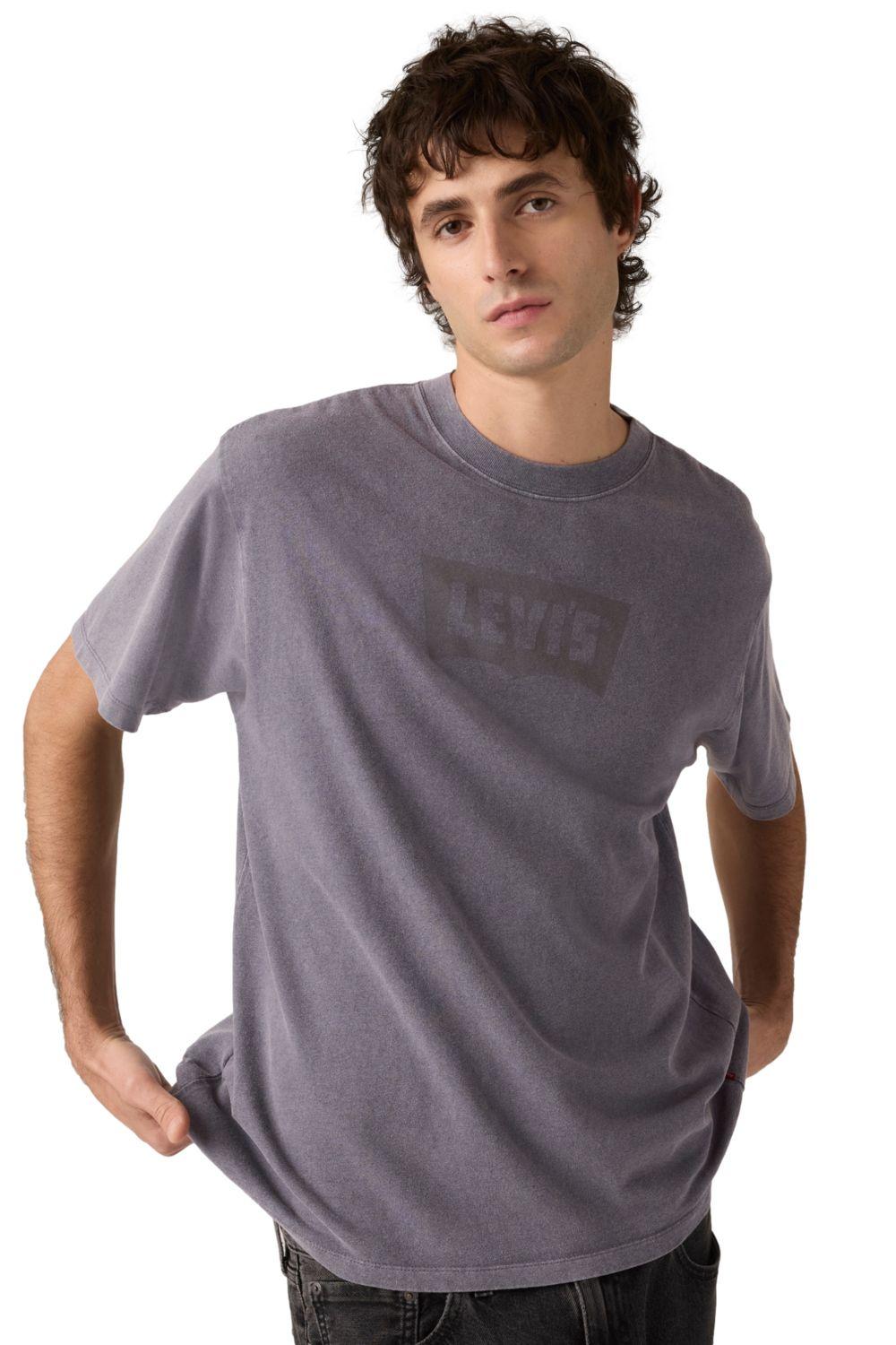 Polera Hombre Vintage Fit Graphic Tee Gris Levis 87373-0407-2