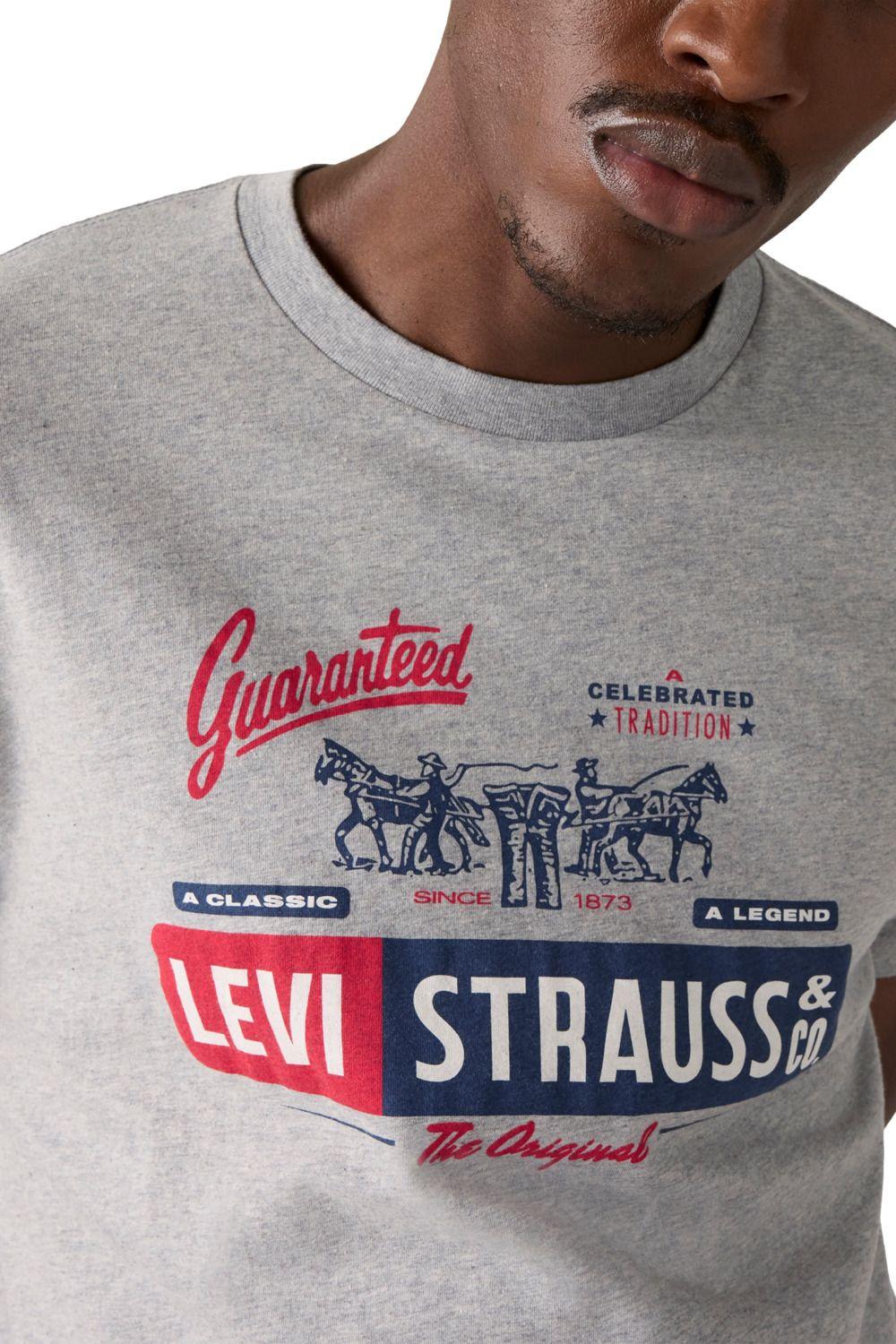 Polera Hombre Graphic Crewneck Tee Gris Levis 22491-1993-3