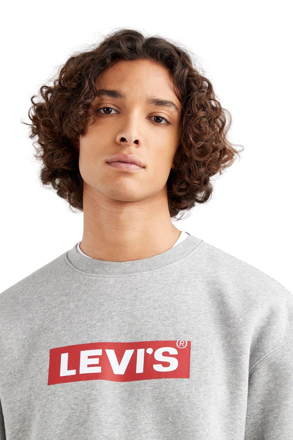 Polerón Hombre Relaxed Graphic Gris Levis 39134-0030-3
