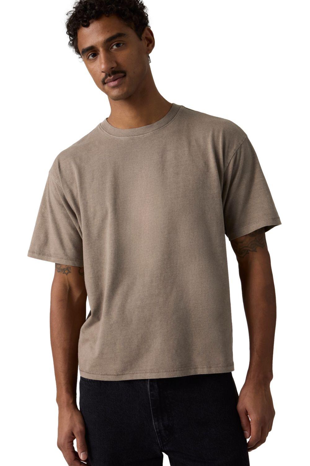 Polera Hombre Boxy Tee Café Levis 0049F-0020-2